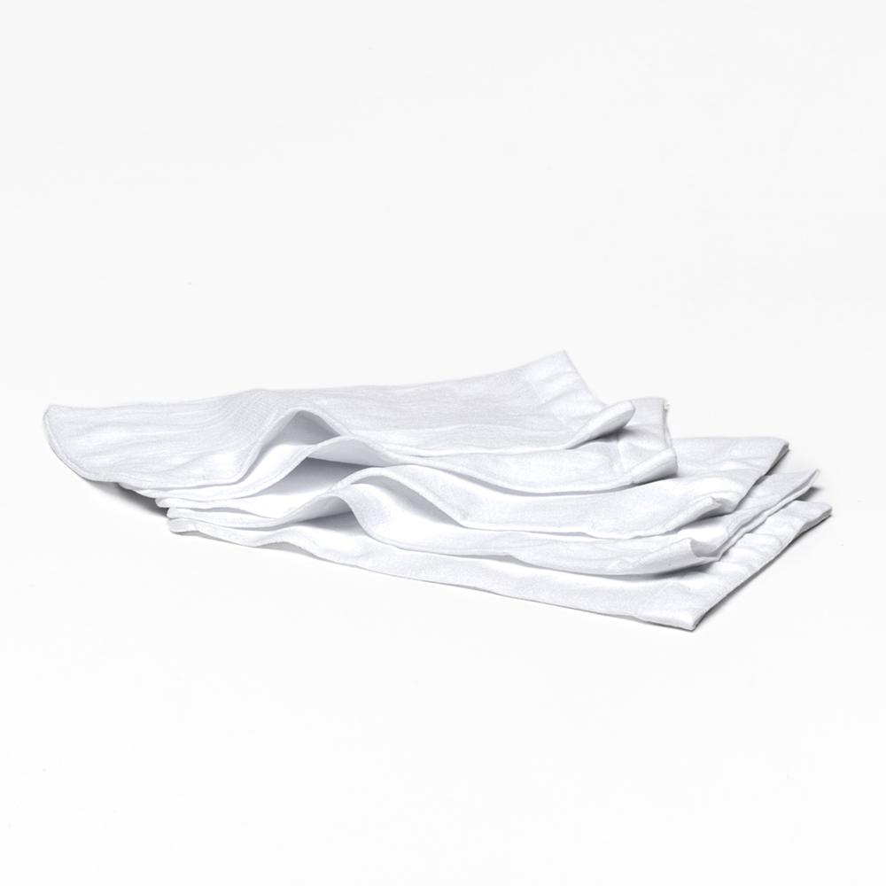 Micro filter engangsposer (5 pack) Aquabroom, MAX LI, Catfish, FX4, FX8