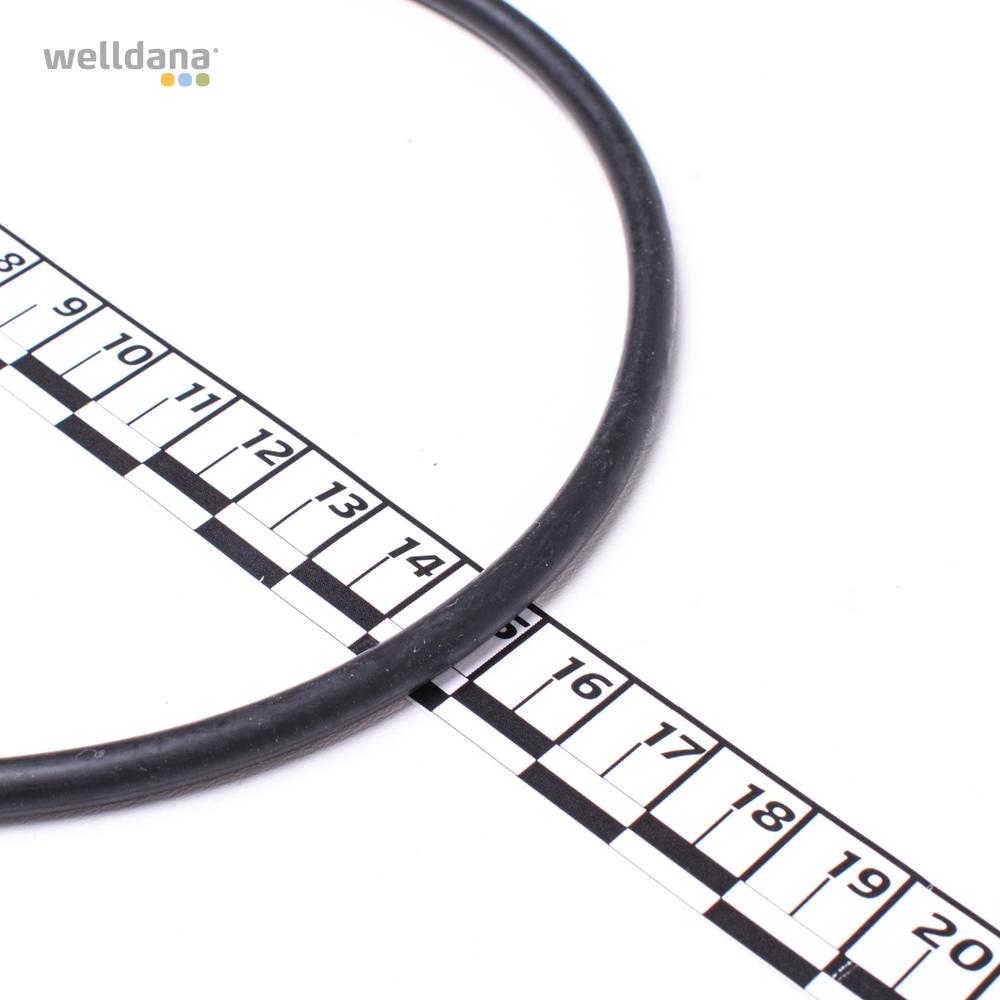 O-ring til forfilter BADU 90 + BADU 90 Eco VS - Billede 2