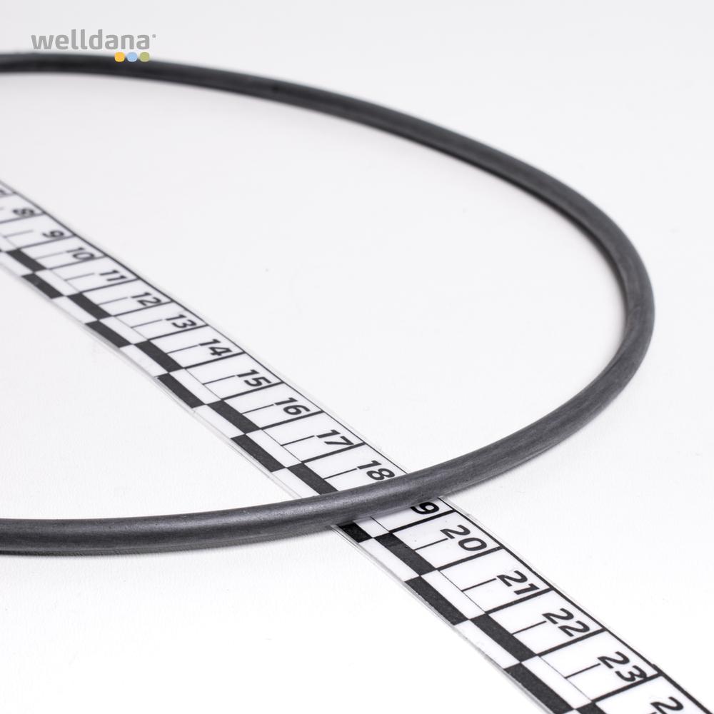 O-ring til ventillåget Multiportventil 2" - Billede 2
