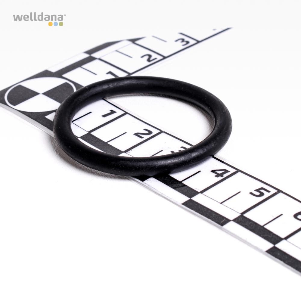 O-ring til ventilplade Multiportventil 3" - Billede 2